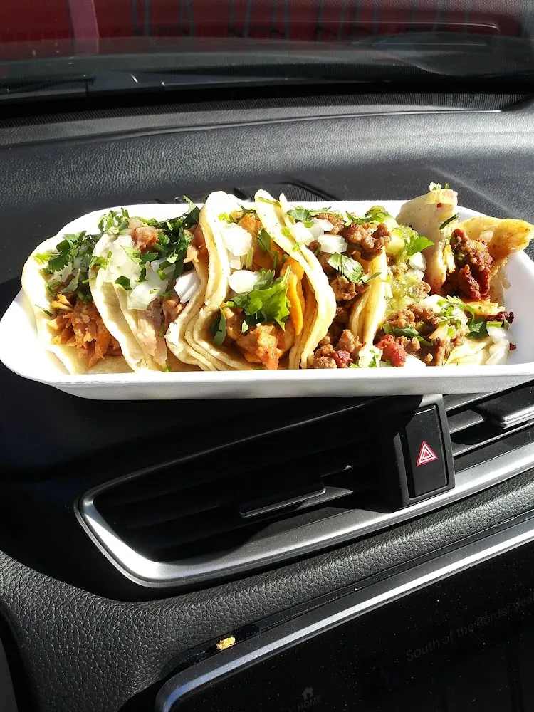 Al Pastor and Carne Asada